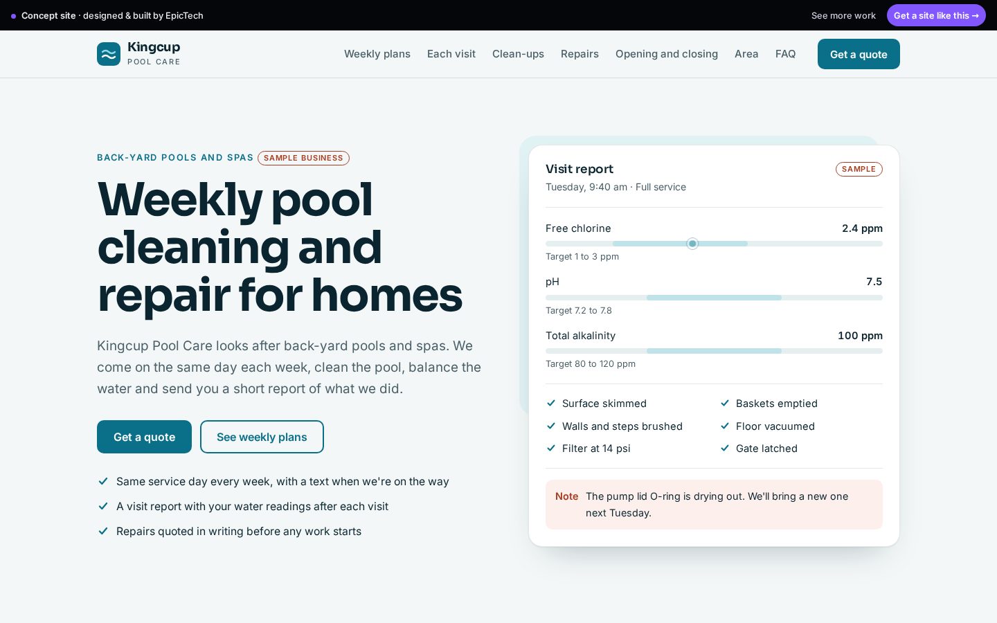 Kingcup Pool Care website (concept)