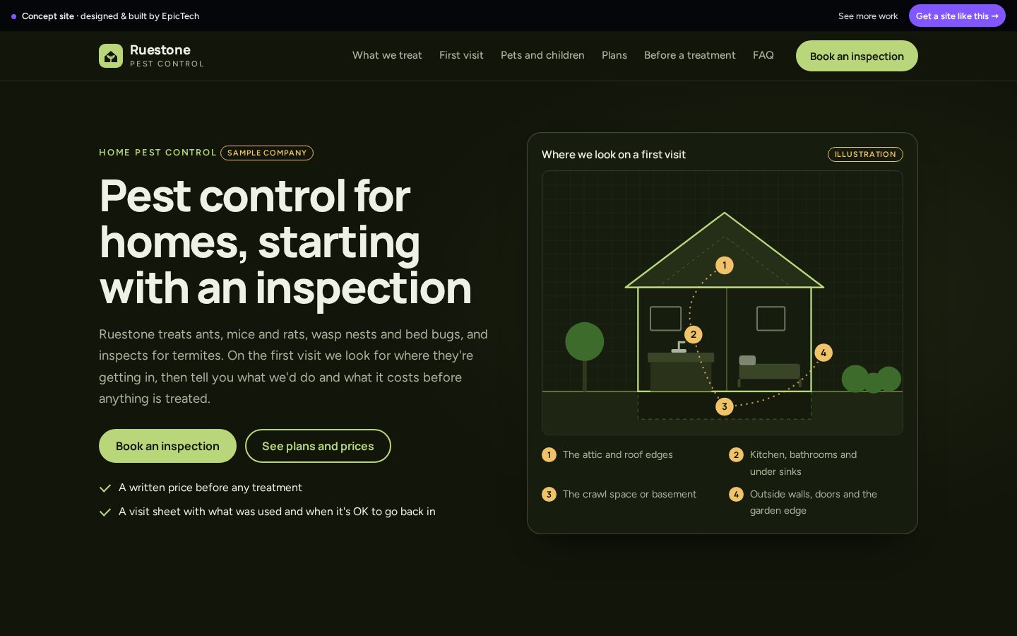 Ruestone Pest Control website (concept)