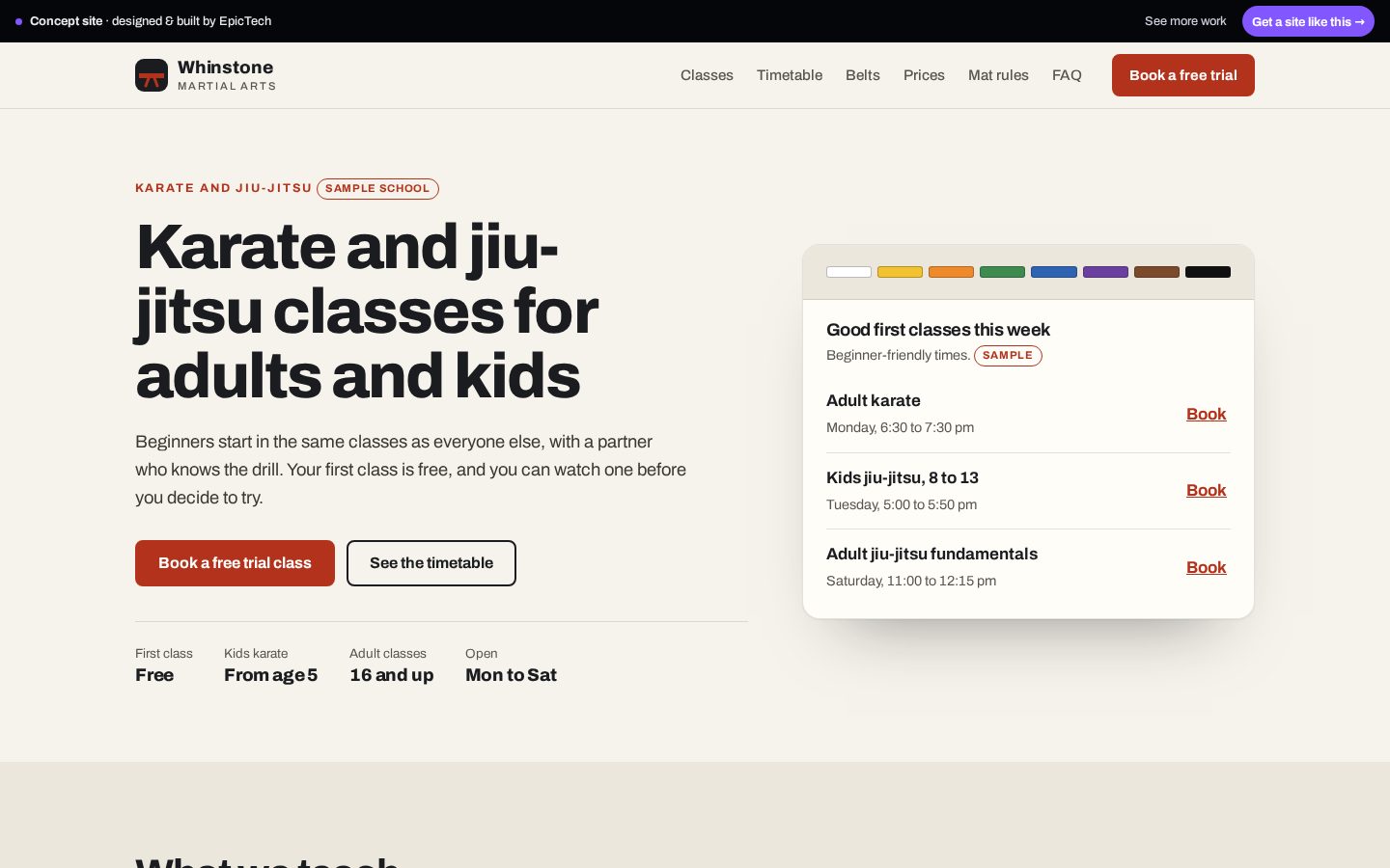 Whinstone Martial Arts website (concept)